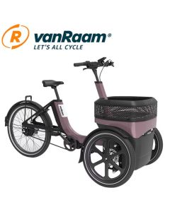 vanRaam Thuja elektrische bakfiets